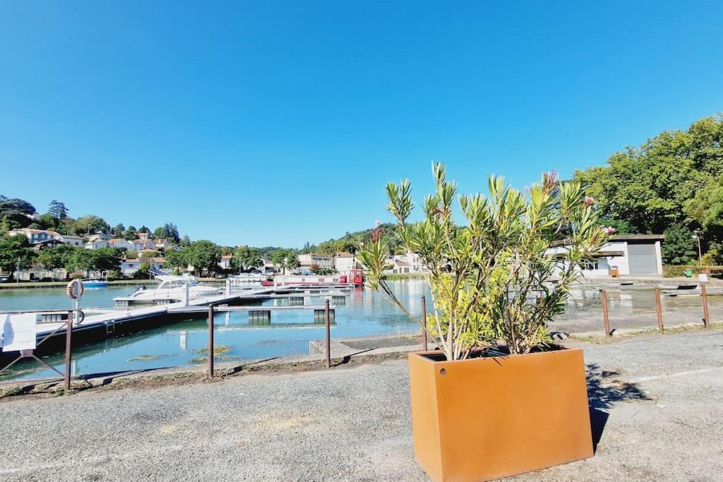 Maison, 4 A 6 Pers, Clim, Parking Prive, 2 Chambres Agen Eksteriør bilde